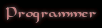Programmer